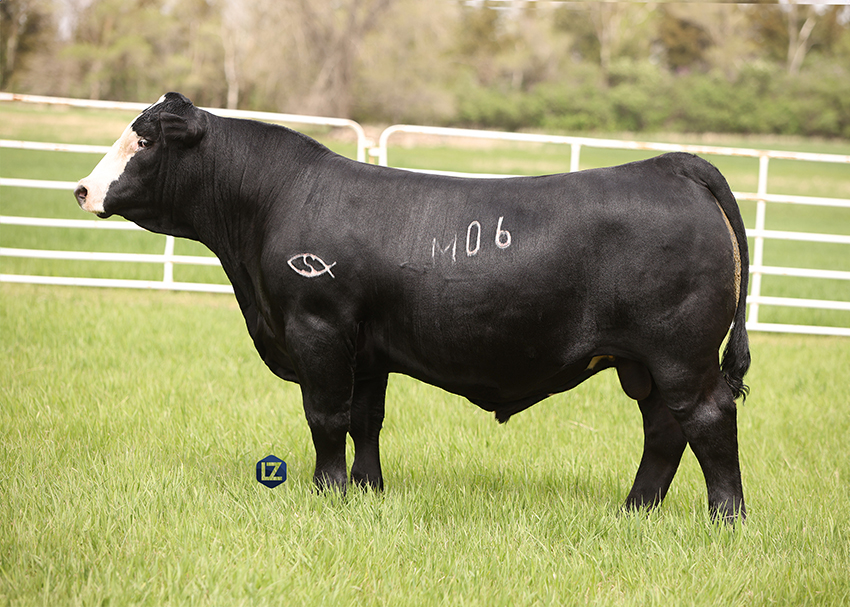 Herd Sires | Gibbs Farms